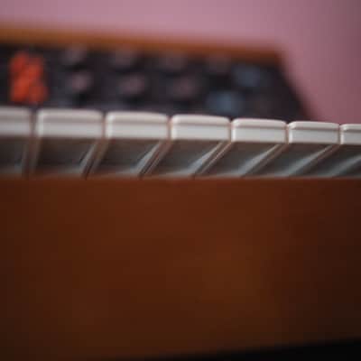 Moog Mini Moog Model D Reissue 44 Key image 7