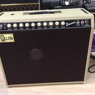 Allen Amplification Encore Series Beige 1X15" image 1