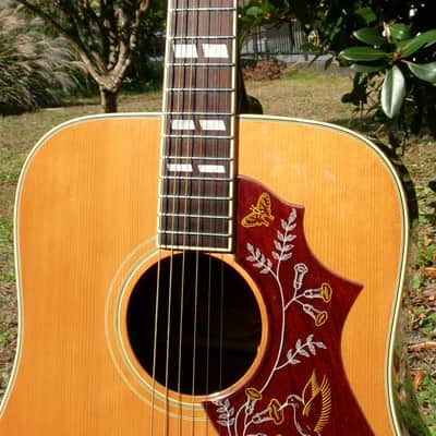 1975 Greco 202 Hummingbird Model MIJ by Fujigen Gakki image 3