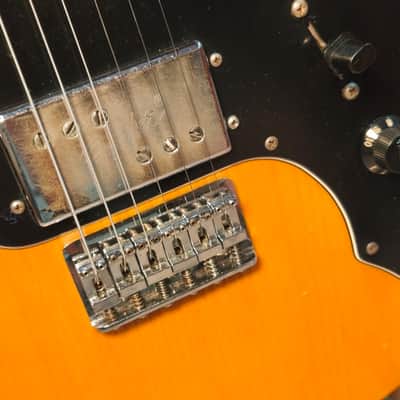 Fender Telecaster Thinline 1978 Natural image 8