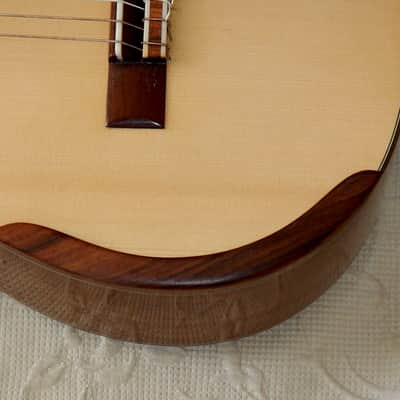 Heikki Rousu 11 string Alto guitar image 6