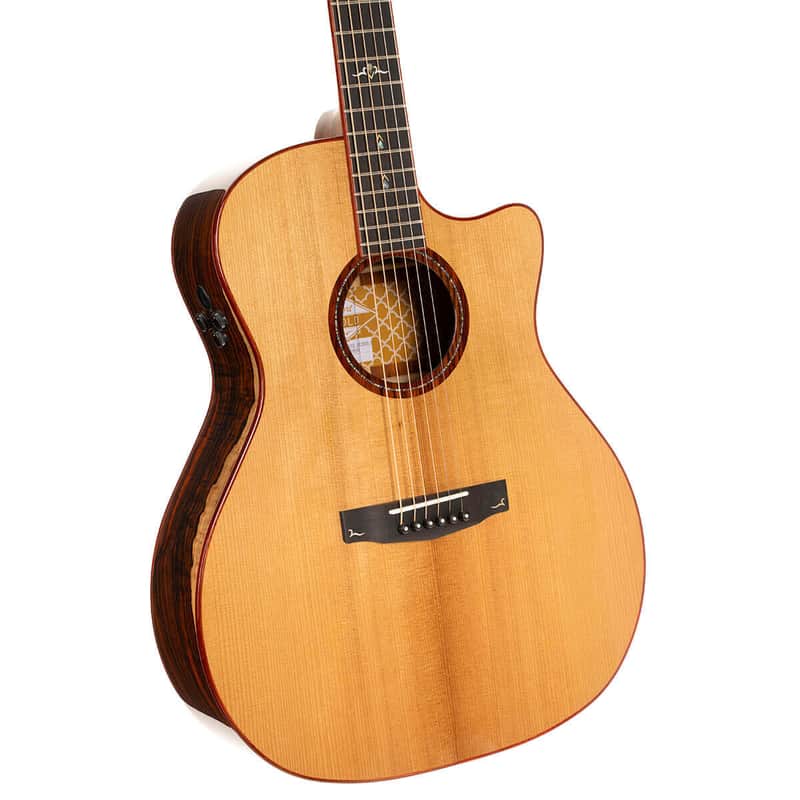 Cort GOLDA10 Gold Series A10 Cocobolo Grand Auditorium Acoustic Electric Guitar image 1