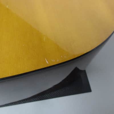 Fender Gemini II Acoustic Guitar image 6