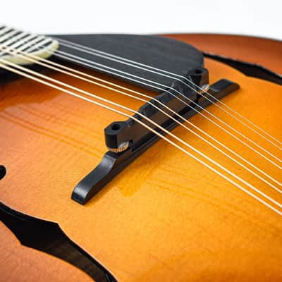 Eastman MD605 Goldburst image 7