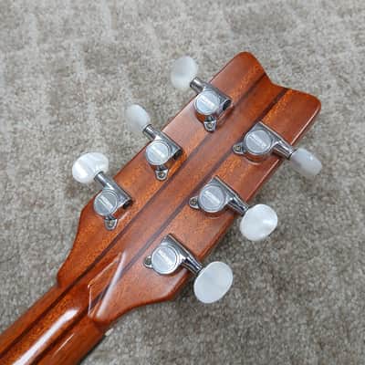 1995 Washburn D-68SW w/ Hard Shell Case image 12