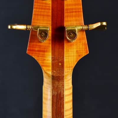 Oasis Bass by Gary Cooper from Alembic 1977-1983 Amber image 11