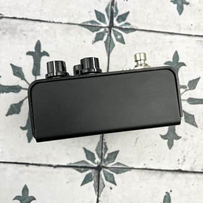 Strymon Iridium image 6