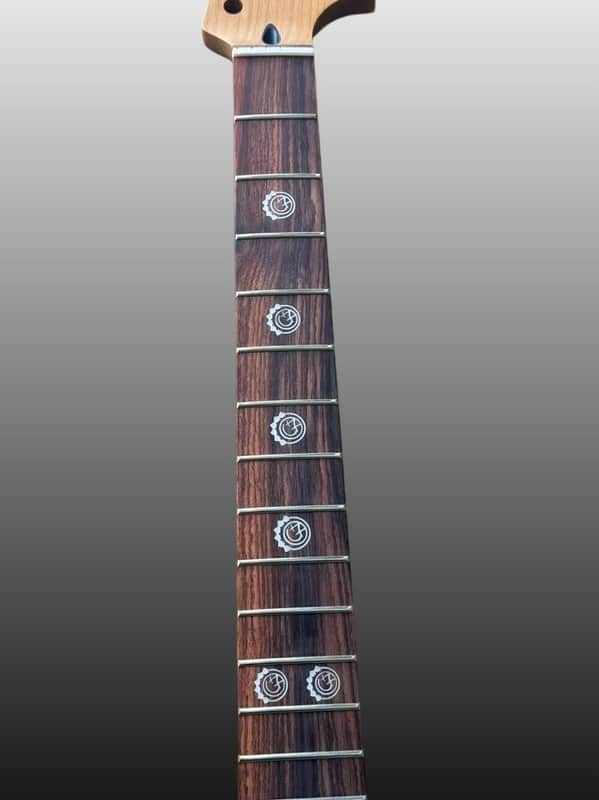 Roasted Maple Neck With Rosewood Fingerboard, 22-Frets Luminous side dots image 1