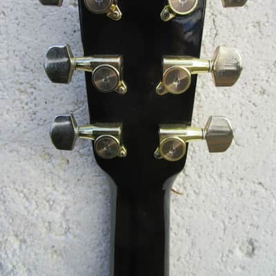 Daion The Year Series 79B Dreadnought Guitar 1979, Japan, Black, Case image 18