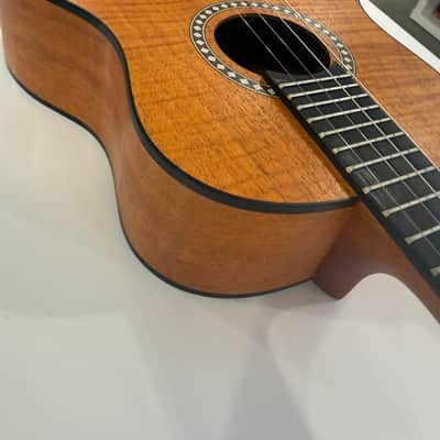 Vogga VCC630EQ MS Electro-Acoustic Cavaquinho (Imported from Brazil) image 3