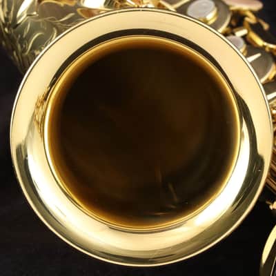 SELMER Alto SERIES III Jubilee Series 3 Alto Saxophone SN.80xxxx [808322] (06/22) image 14