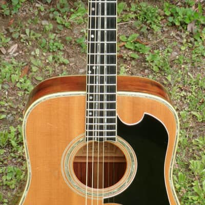 1973 Yairi YW600G Grammer Guitar Style New Jacaranda - Natural+Flight Case image 3