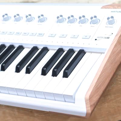 Arturia AstroLab 61 Avant-Garde Stage Keyboard 61-Note Semi-Weighted Keyboard image 3