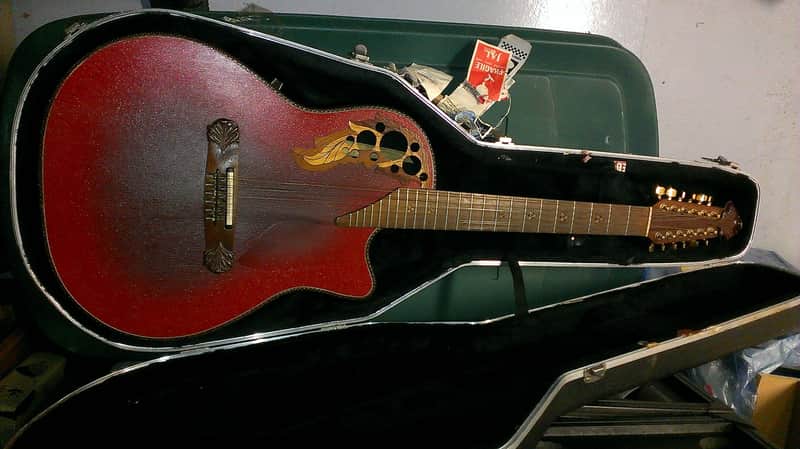 Adamas 12 string - the Larry Coryell Collection image 1