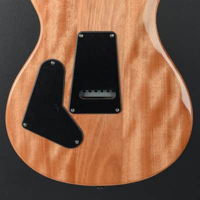 Paul Reed Smith SE Custom 24 '22 image 6