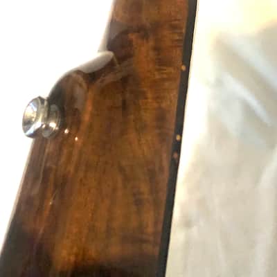 Turtle Shell Tenor Ukulele image 11