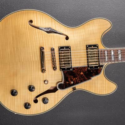 D'Angelico Excel EX DCSP '18 image 1