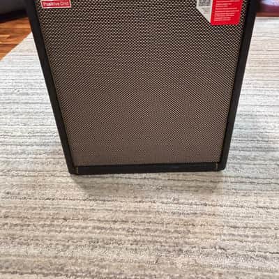 Positive Grid Spark cab 2020’s - Black image 1