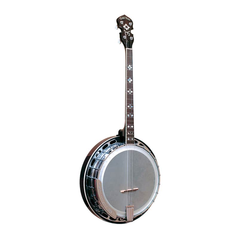 Gold Tone TS-250AT 4-String Archtop Resonator Tenor Special Banjo image 1