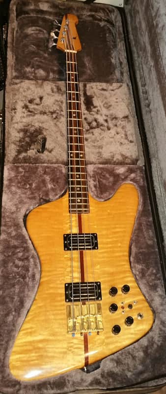 Ribbecke  Bass 1982 Vintage Custom Thunderbird Bass Very Very Rare 1 of 4 image 1