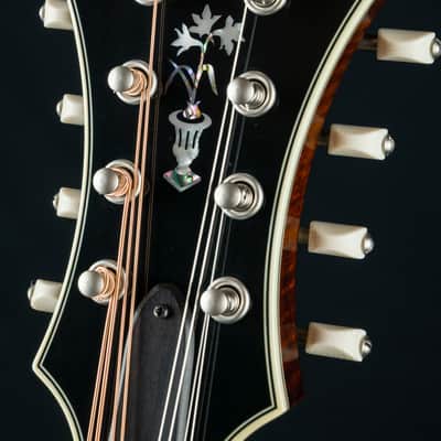Bourgeois M5-F-BT Full Aged Tone Adirondack Spruce and European Flamed Maple Black Top Mandolin NEW image 7