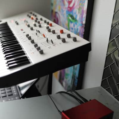 Frap Tools Magnolia Synthesizer image 5