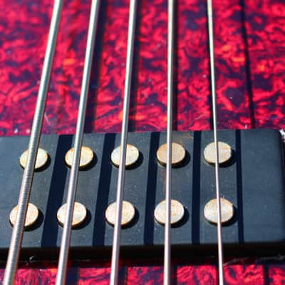 OLP Tony Levin Signature 5-String Bass  Flamed Natural image 14