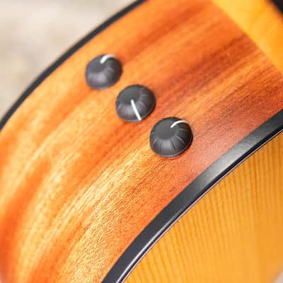 Taylor 114ce Grand Auditorium Acoustic/Electric Guitar - Sapele with Gig Bag image 9