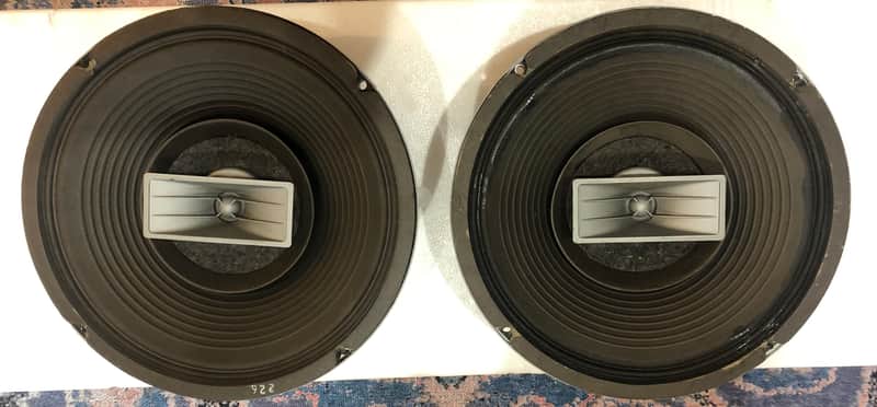Electro-Voice Wolverine LT-12
