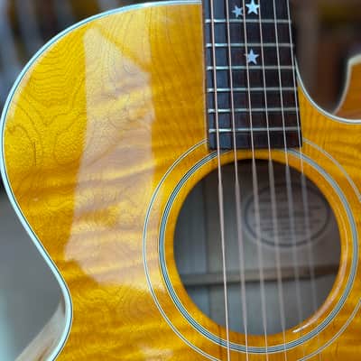 Gibson Starburst Standard 1992 - 1993 - Natural image 4