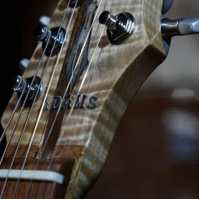 ADAMS GUITAR CO. Custom Handcrafted Electric Guitar "CHESTER DAVENPORT" image 9