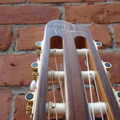 Godin Collection Nylon SF Guitar w/hard case image 4