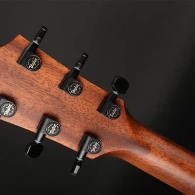 Immagine Taylor 324ce V-Class Grand Auditorium Cutaway, ES2 in Shaded Edge Burst #1201084087 (2024) - 6