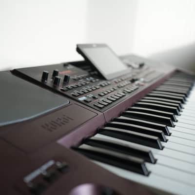 Korg PA1000 61-Key Professional Arranger 2017 - Present - Red image 6