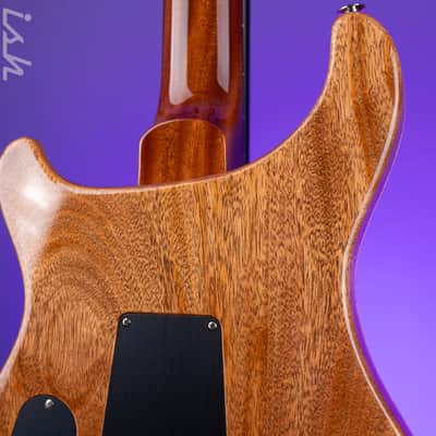 PRS Custom 24 40th Anniversary Tiger Eye image 9