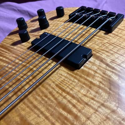 RARE Bolin NS Design NS-5 Bass sn:0127 Ned Steinberger VIDEO DEMO *FACTORY HARD SHELL CASE EXCELLENT image 5