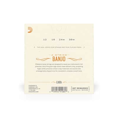 Ej63 I Irish Tenor Banjo, Nickel, 12 36 image 2