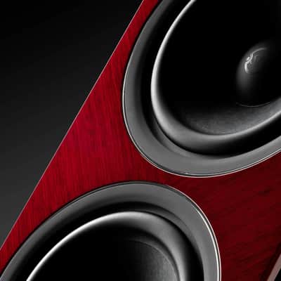SONUS FABER Lumina Amator V - 3-Way Floorstanding Speakers (Pair) - NEW! image 4