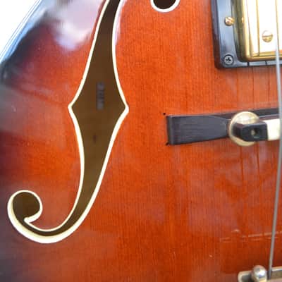 Immagine Polytone Improv I Archtop Jazzbox - RARE - Japan - 5