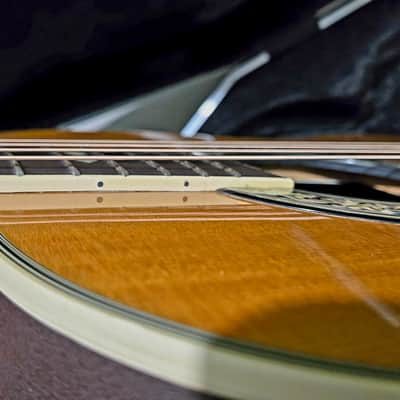 Ovation Glen Campbell 1627 Not sure but vintage image 11