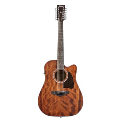 Ibanez Artwood Vintage AW5412CE-OPN - 12 String Acoustic Guitar image 2