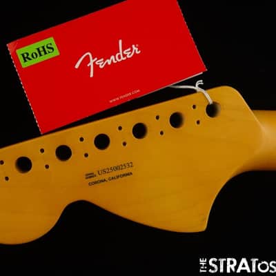 Fender American Professional II Tele Deluxe NECK, Deep image 6