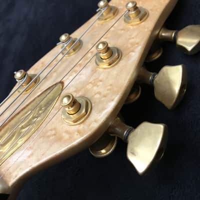 RKS Open Architecture Concept Guitar Leather #V33 1689 image 12