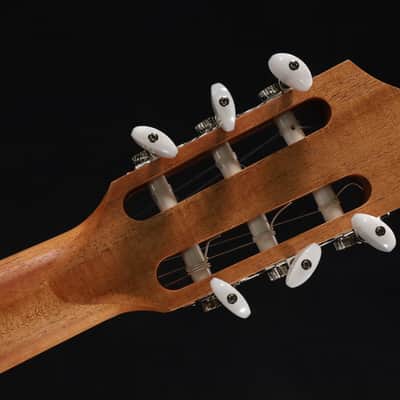 Taylor Academy 12e-N Grand Concert Acoustic-Electric Guitar Natural 064 image 8