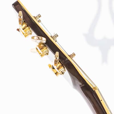 Daion Headhunter HH-555 Tobacco Sunburst w/ Hardshell Case image 14