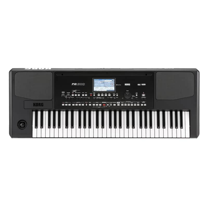 Korg Pa300 61-Key Arranger Workstation image 1