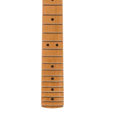 Fender American Pro II Strat Neck, 22 Narrow Tall Frets, 9.5", Roasted Maple image 1