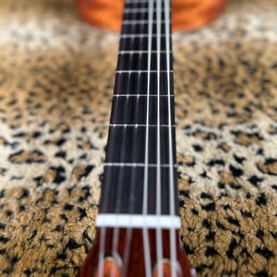 Cordoba C9 Nylon String Acoustic Guitar Natural image 10