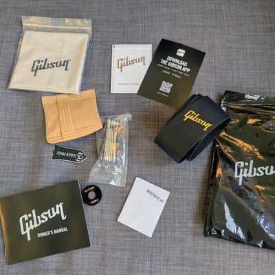Gibson Adam Jones Signature Les Paul Standard 2022 - Present - Antique Silverburst image 4