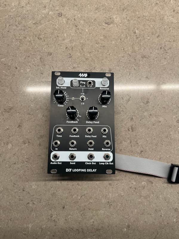 4MS DIY looping delay 2020s image 1